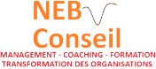 Cabinet de conseil en management et organisation Villeurbanne